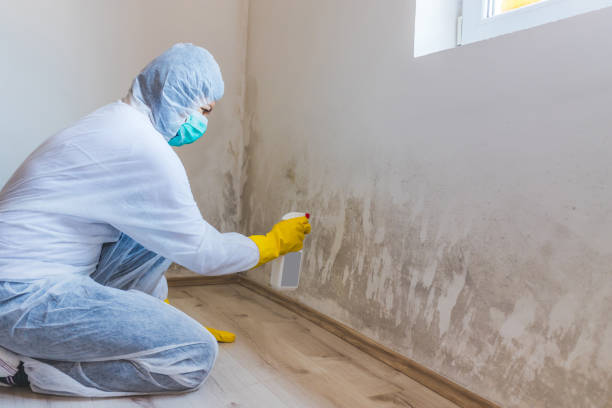 Mold inspector in Riverside performing thermal imaging